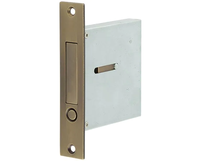 Pocket Door Pop Out Edge Pull - Spring Loaded - 88mm Case Depth - Antique  Brass (Lacquered)